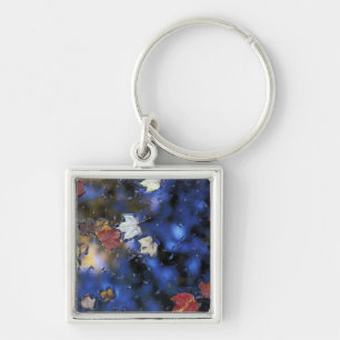 North America, US, NH, Leaves in a pond next Key Ring