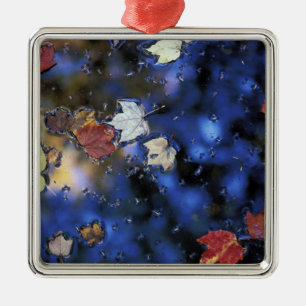 North America, US, NH, Leaves in a pond next Metal Tree Decoration