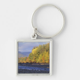North America, US, NH, Saco River. Cobble Key Ring