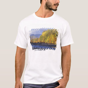 North America, US, NH, Saco River. Cobble T-Shirt