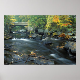 North America, US, NH, The bridge at Packers Poster