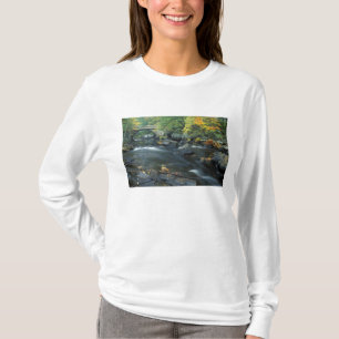 North America, US, NH, The bridge at Packers T-Shirt