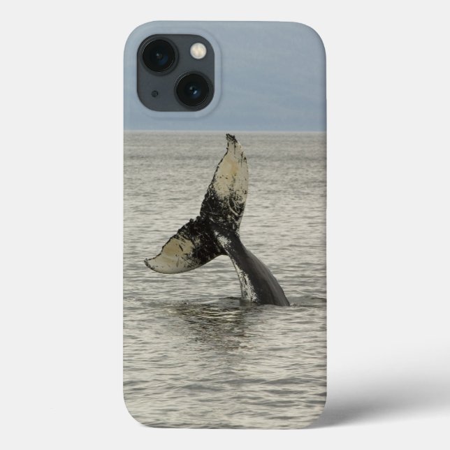 North America, USA, AK, Inside Passage. Humpback Case-Mate iPhone Case (Back)
