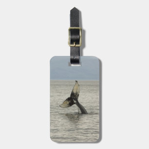 North America, USA, AK, Inside Passage. Humpback Luggage Tag