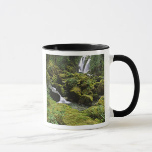 North America, USA, Alaska. A waterfall and Mug
