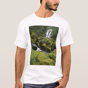 North America, USA, Alaska. A waterfall and T-Shirt