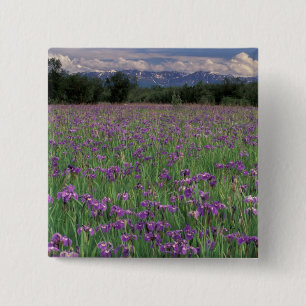 North America, USA, Alaska, Anchorage, Eklutna 15 Cm Square Badge