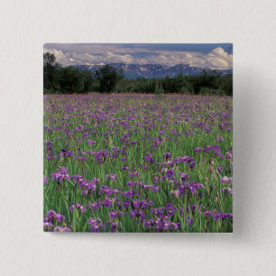 North America, USA, Alaska, Anchorage, Eklutna 15 Cm Square Badge