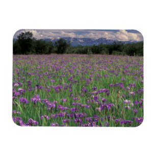 North America, USA, Alaska, Anchorage, Eklutna Magnet