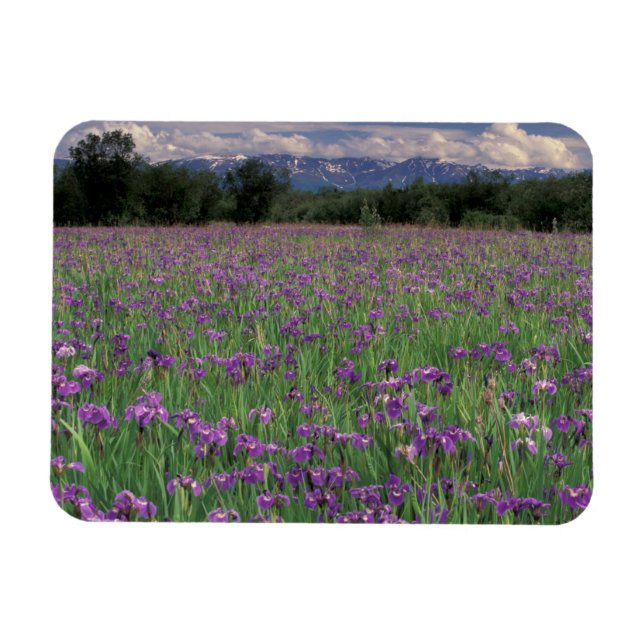 North America, USA, Alaska, Anchorage, Eklutna Magnet (Horizontal)