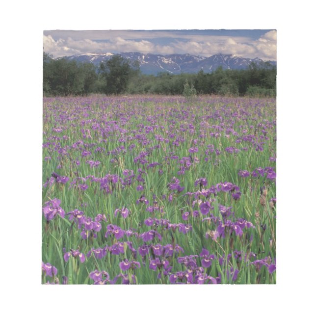 North America, USA, Alaska, Anchorage, Eklutna Notepad (Front)