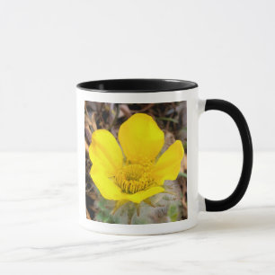 North America, USA, Alaska, Denali National Mug