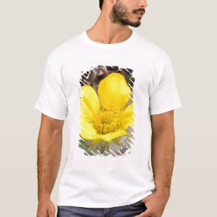 North America, USA, Alaska, Denali National T-Shirt