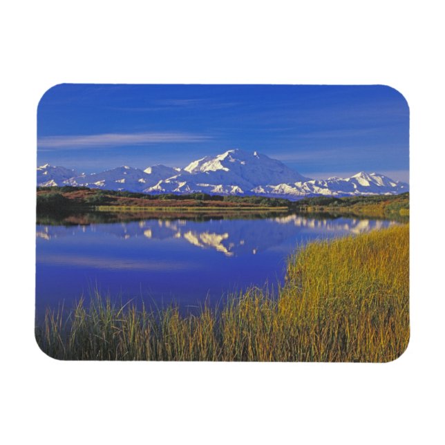 North America, USA, Alaska, Denali NP, Magnet (Horizontal)