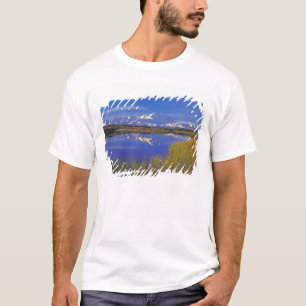 North America, USA, Alaska, Denali NP, T-Shirt