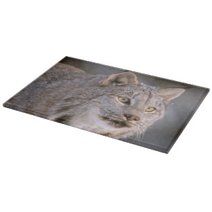 North America, USA, Alaska, Haines. Lynx (Felis 2 Cutting Board