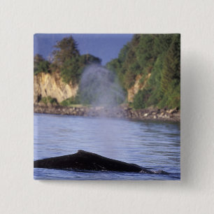 North America, USA, Alaska, Inside Passage. 15 Cm Square Badge