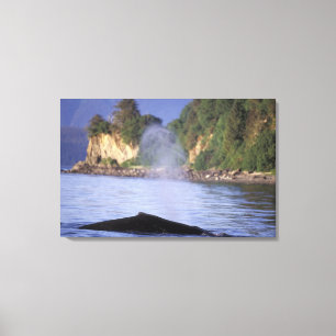 North America, USA, Alaska, Inside Passage. Canvas Print