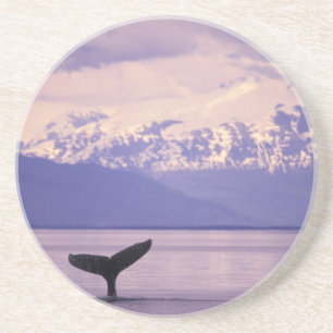North America, USA, Alaska, Inside Passage. Coaster