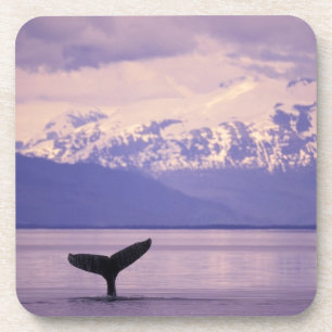 North America, USA, Alaska, Inside Passage. Coaster