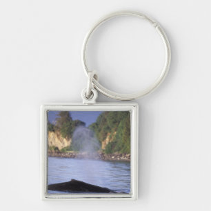 North America, USA, Alaska, Inside Passage. Key Ring