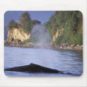 North America, USA, Alaska, Inside Passage. Mouse Mat
