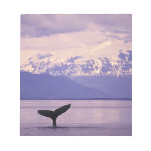 North America, USA, Alaska, Inside Passage. Notepad