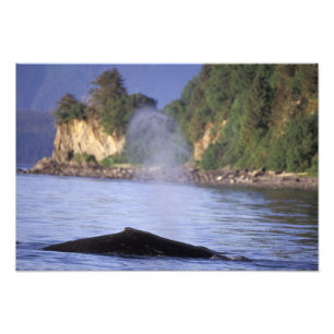 North America, USA, Alaska, Inside Passage. Photo Print