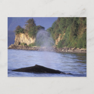 North America, USA, Alaska, Inside Passage. Postcard