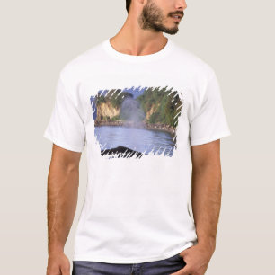 North America, USA, Alaska, Inside Passage. T-Shirt