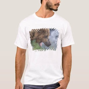 North America, USA, Alaska, Katmai NP, Brooks T-Shirt