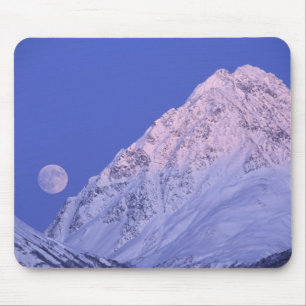 North America, USA, Alaska, Knik River, Mouse Mat