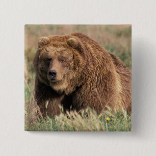 North America, USA, Alaska, Kodiak Island, 15 Cm Square Badge