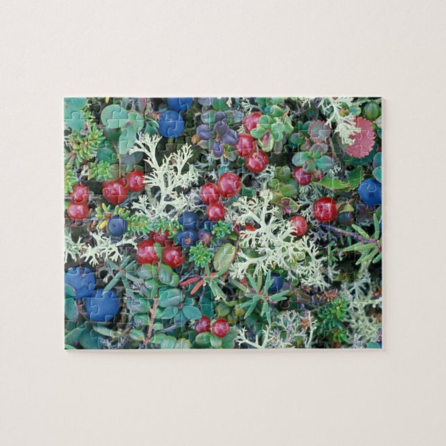 North America, USA, Alaska, Landscape, berries Jigsaw Puzzle (Horizontal)