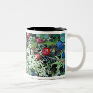 North America, USA, Alaska, Landscape, berries Two-Tone Coffee Mug