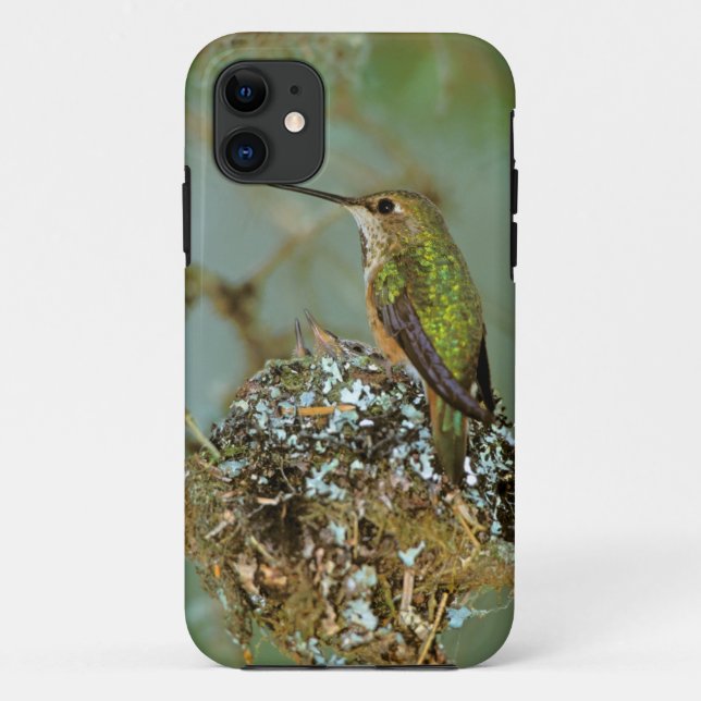 North America, USA, Alaska. Rufous Humming bird Case-Mate iPhone Case (Back)