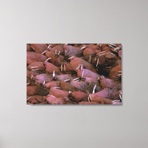 North America, USA, Alaska, Yukon Delta National Canvas Print