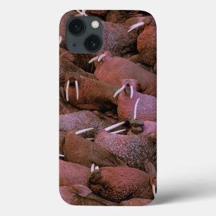 North America, USA, Alaska, Yukon Delta National iPhone 13 Case