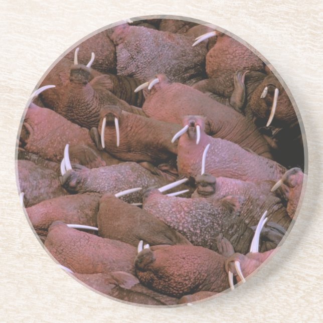 North America, USA, Alaska, Yukon Delta National Coaster (Front)