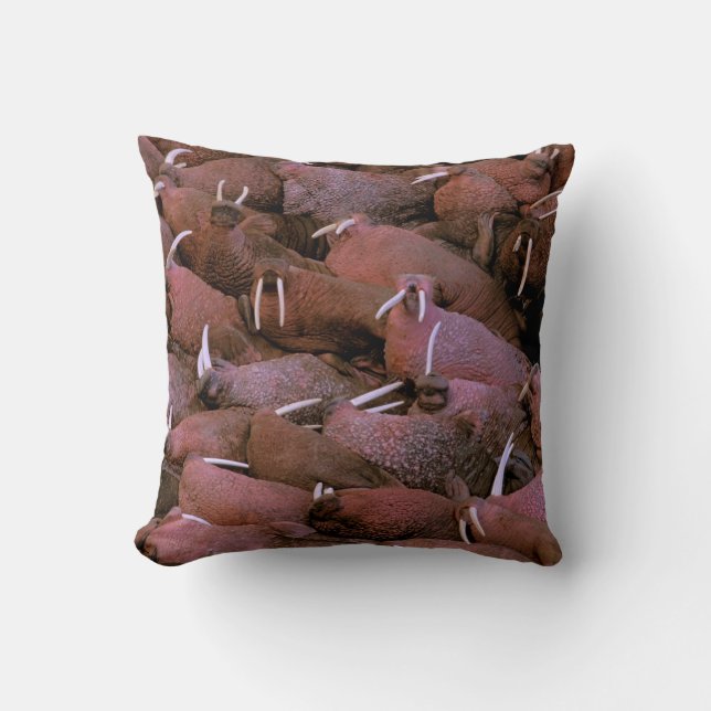 North America, USA, Alaska, Yukon Delta National Cushion (Front)