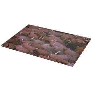North America, USA, Alaska, Yukon Delta National Cutting Board
