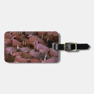 North America, USA, Alaska, Yukon Delta National Luggage Tag