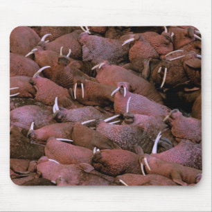 North America, USA, Alaska, Yukon Delta National Mouse Mat