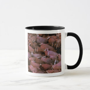 North America, USA, Alaska, Yukon Delta National Mug