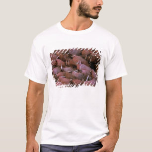 North America, USA, Alaska, Yukon Delta National T-Shirt