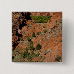 North America, USA, Arizona, Navajo Indian 15 Cm Square Badge