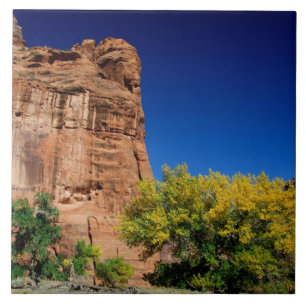 North America, USA, Arizona, Navajo Indian 3 Tile