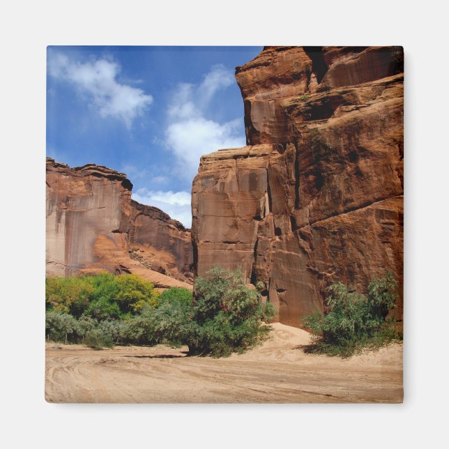 North America, USA, Arizona, Navajo Indian 5 Magnet (Front)