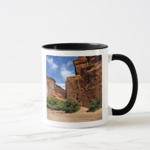 North America, USA, Arizona, Navajo Indian 5 Mug