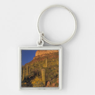 North America, USA, Arizona, Organ Pipe Cactus 2 Key Ring